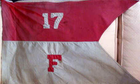 F Troopflag.jpg (46493 bytes)