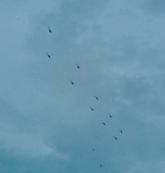 MORE CHOPPERS