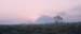 THE MOUNATAN