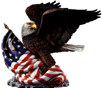 US Eagle