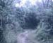 0081580-R1-E028_edited