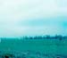 Scan0100